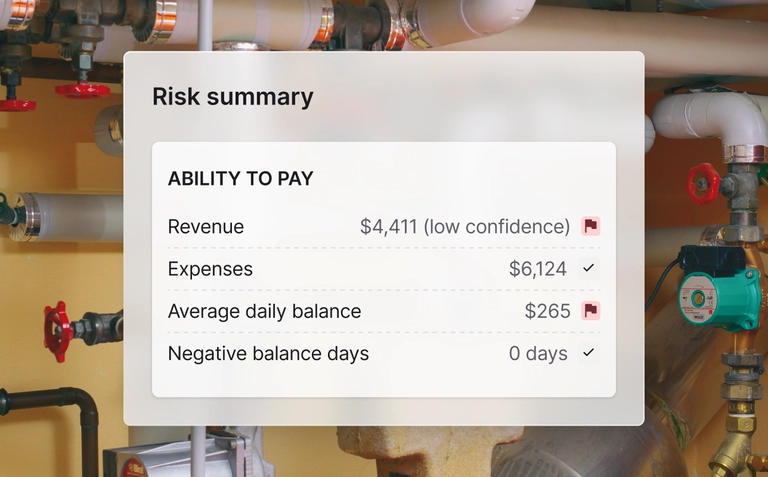 Risk summary dashboard showing revenue, expenses, and balance indicators with ability to pay assessment.